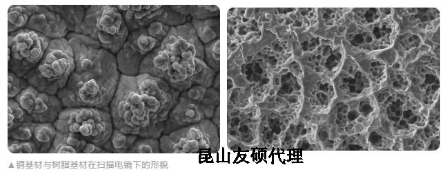 四川蔡司四川扫描电镜